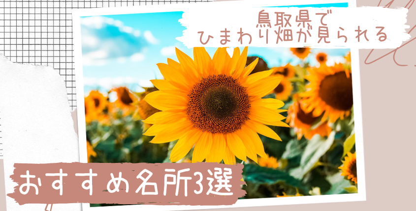 鳥取県のひまわり畑で癒されよう！おすすめ名所3選をご紹介 株式会社 ObotAI